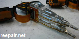 WD Heads Preamp Old.jpg